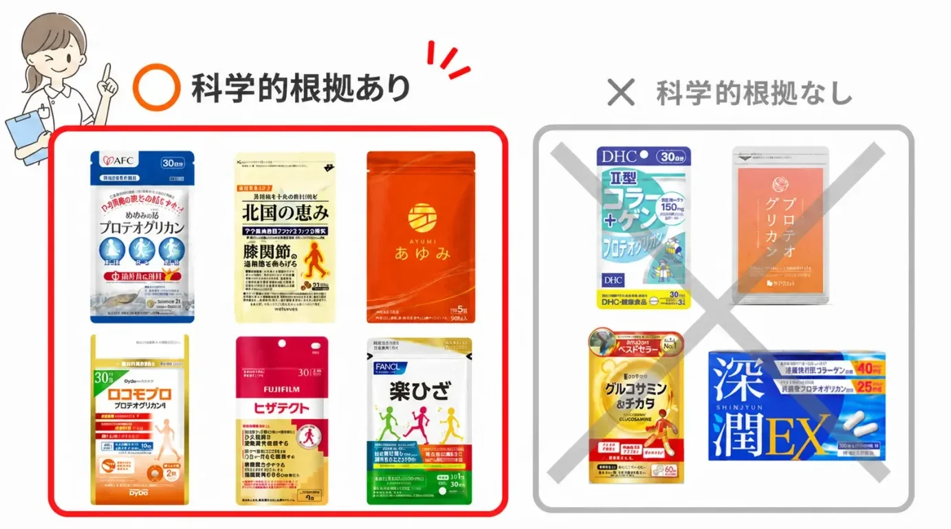 科学的根拠の図解