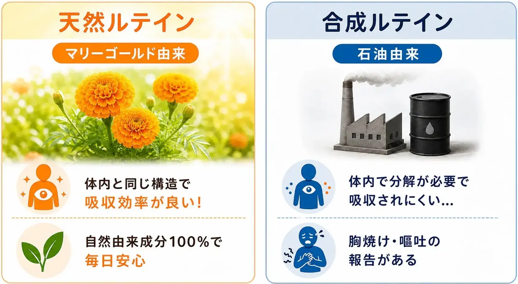 天然ルテインの比較