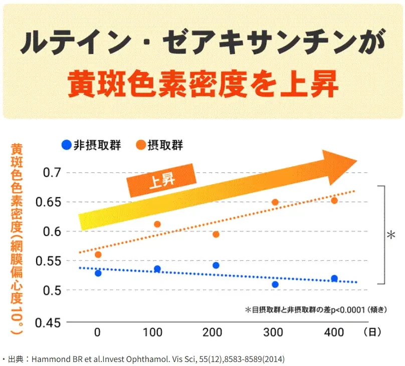 臨床研究で機能確認