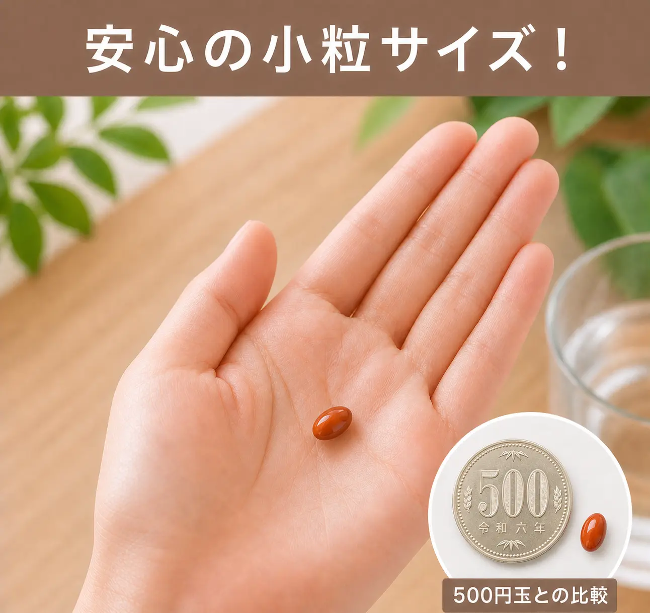 めぐみのルテイン 粒の大きさ