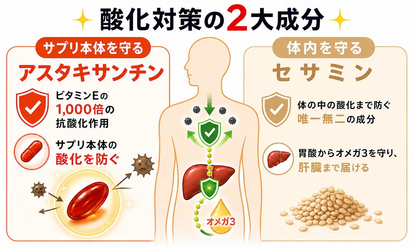 セサミン＆アスタキサンチンの効果