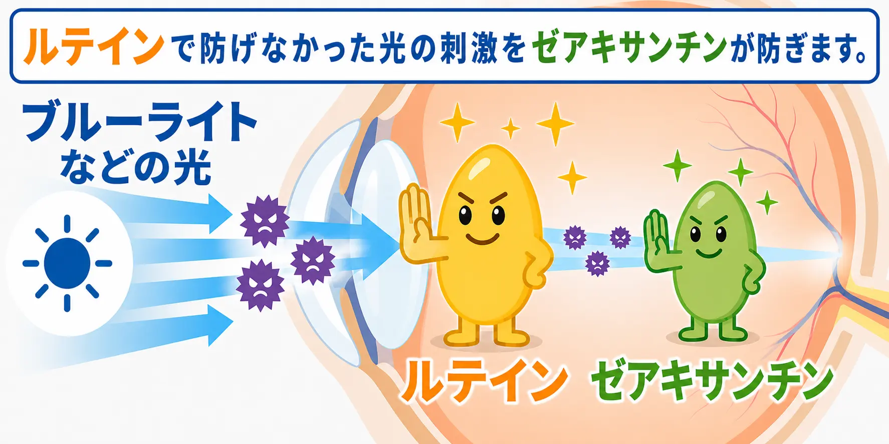 ゼアキサンチンのイラスト