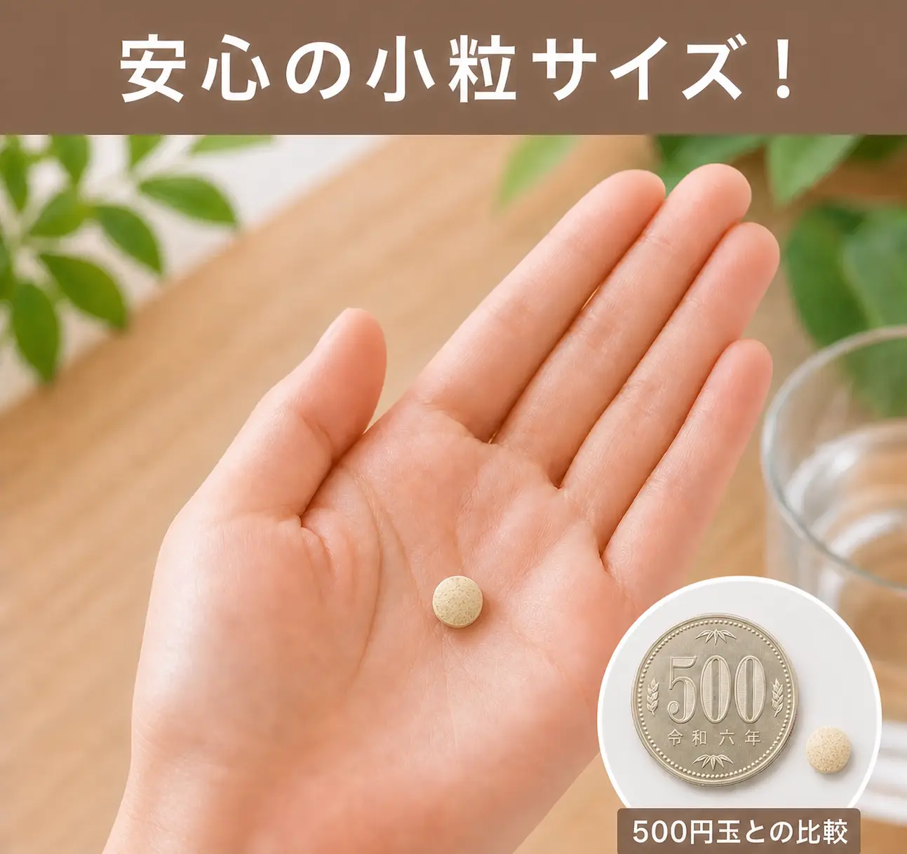 安心の小粒サイズ