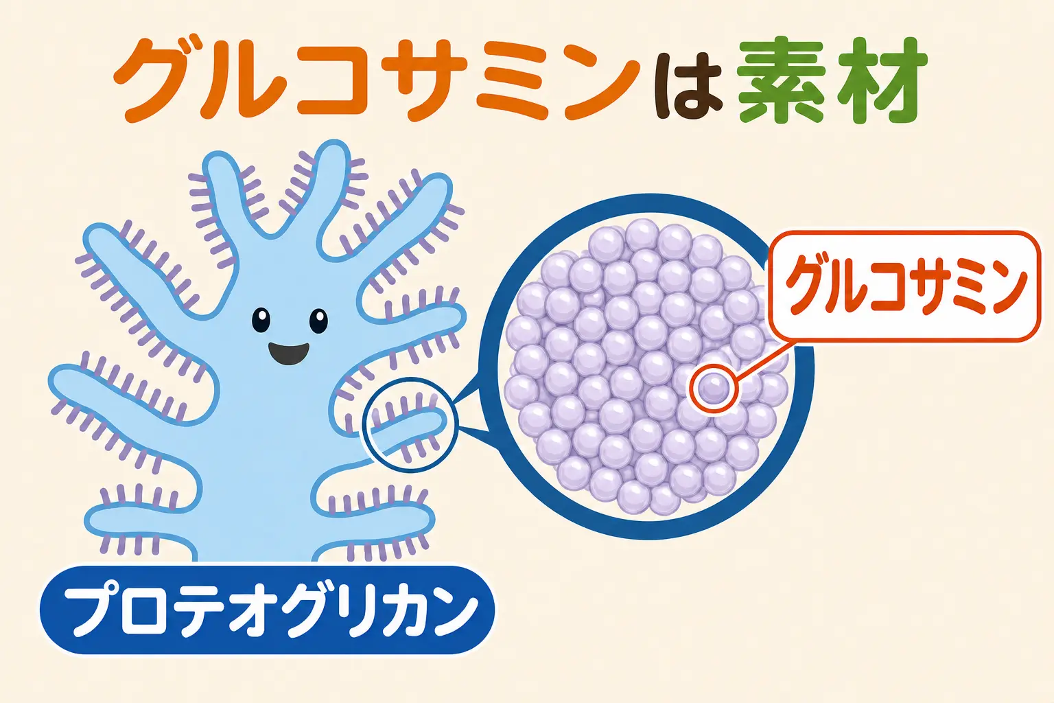 グルコサミンが一部なこと